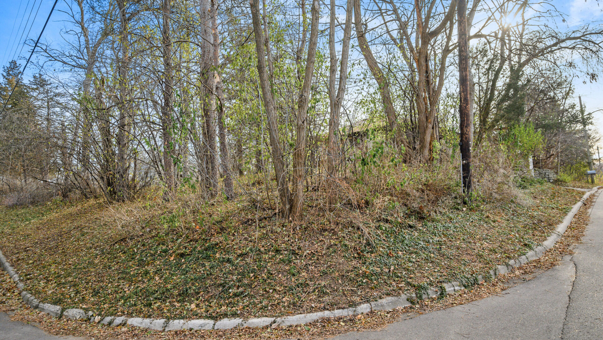 16 10613 Belmont16 scaled e1745872781563