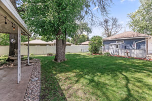 35_11510_Larch37_mls