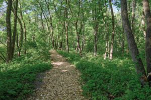 60_135_Eagle_Lake13_mls