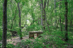 67_135_Eagle_Lake16_mls