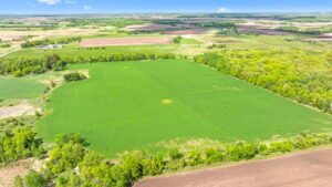 01.00073.00 - Photo-3