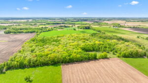 01.00073.00 - Photo-4