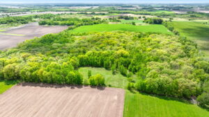 01.00073.00 - Photo-5