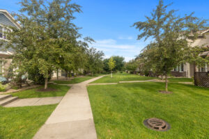 06_174_Shetland5_mls