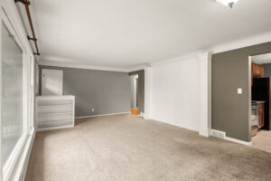 09_4857_Georgia8_mls