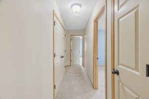 41_174_Shetland35_mls