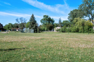 47_5840_Nevada47_mls