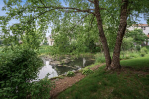 66_9228_Queensland66_mls