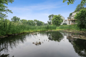 71_9228_Queensland71_mls