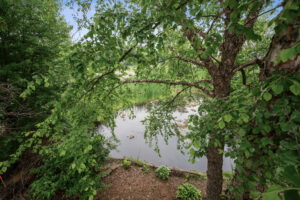 76_9228_Queensland76_mls